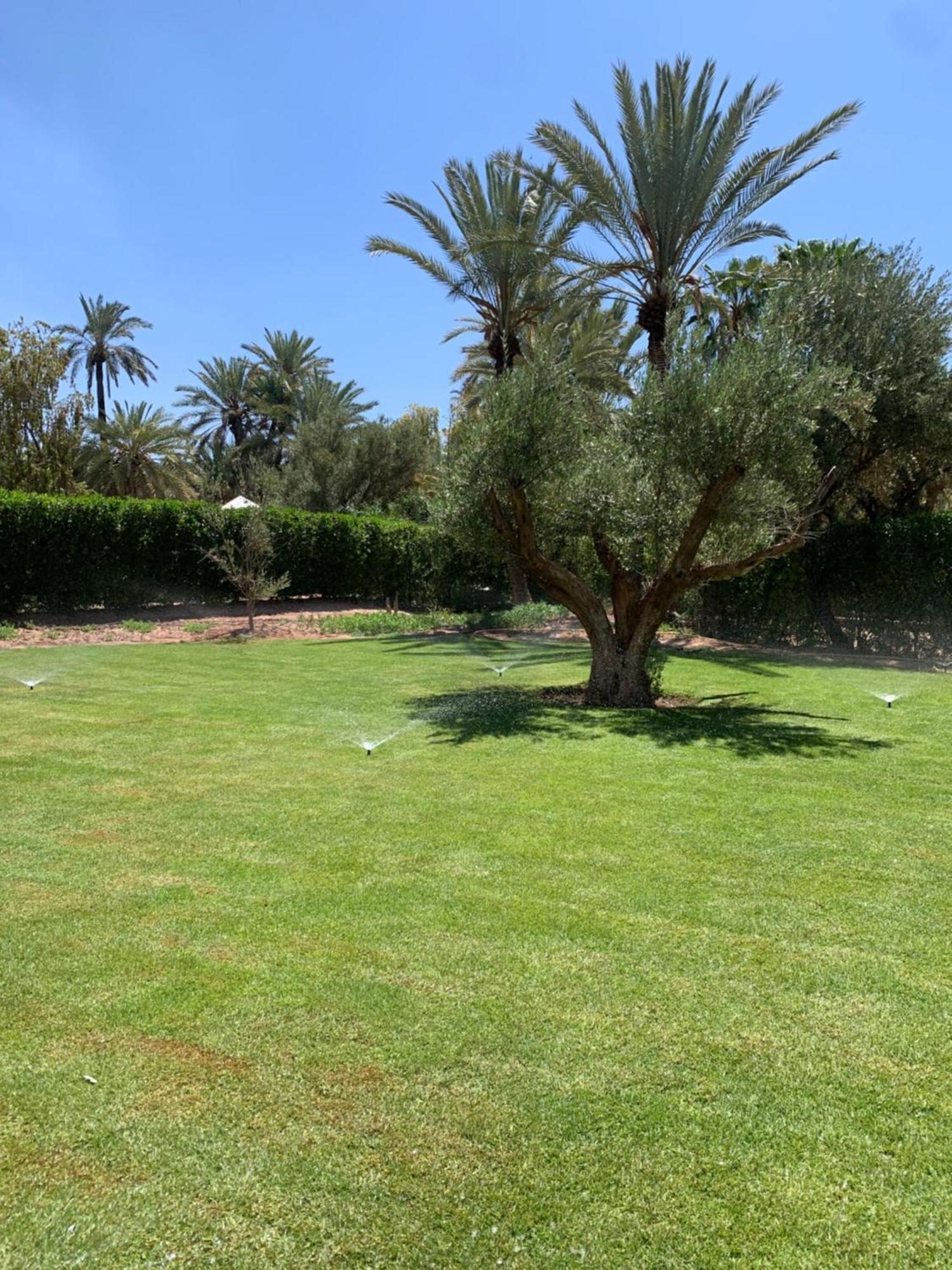 Villa Avec Piscine Privatisee A La Palmeraie Marakeş Dış mekan fotoğraf